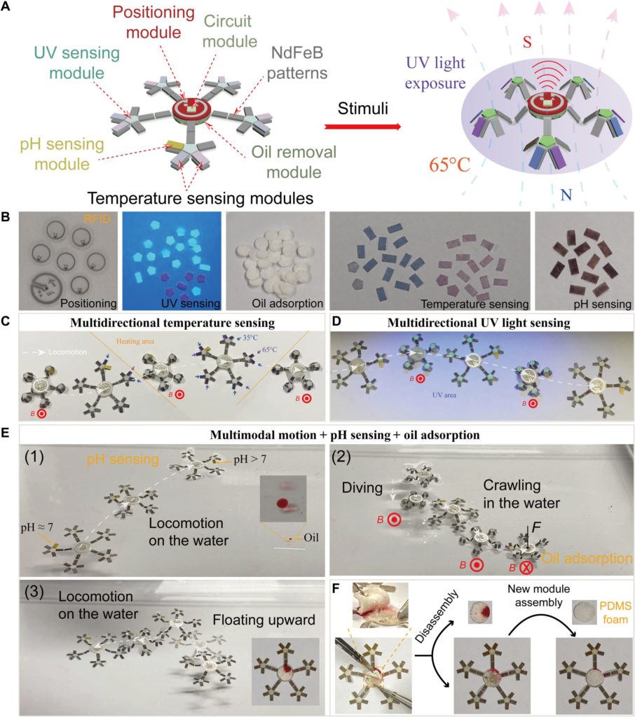 多功能磁控軟體機械人