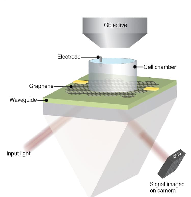 石墨烯攝影機
